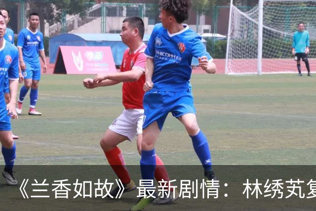 《兰香如故》最新剧情：林绣芄复制兰香婚约，30多岁才嫁二婚男