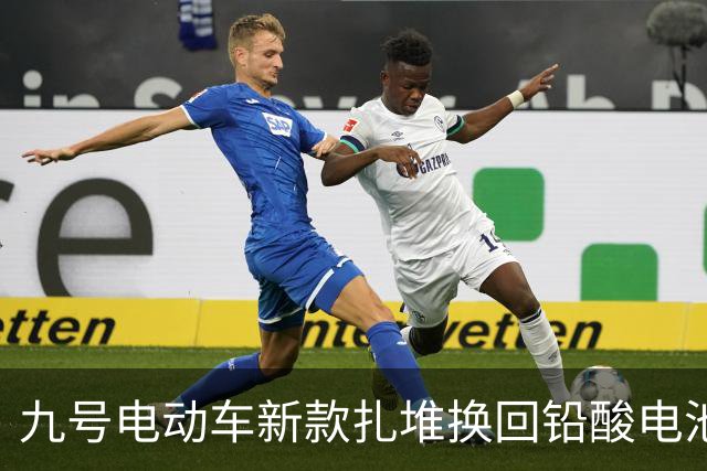 九号电动车新款扎堆换回铅酸电池，智能化反而加码，图啥？