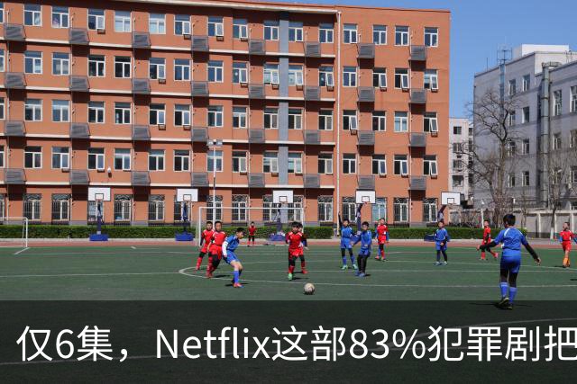 仅6集，Netflix这部83%犯罪剧把《绝命毒师》挤下去了