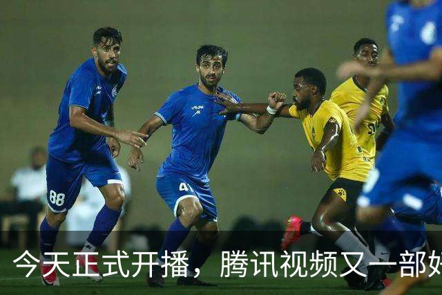 今天正式开播，腾讯视频又一部好剧来袭，王志飞丁勇岱强强联手