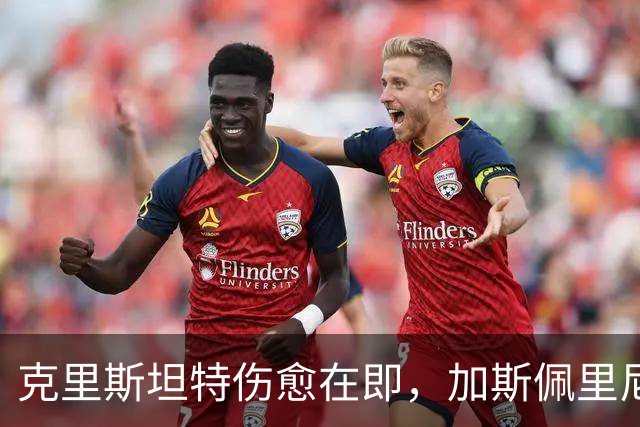 克里斯坦特伤愈在即，加斯佩里尼盼他赶上那不勒斯