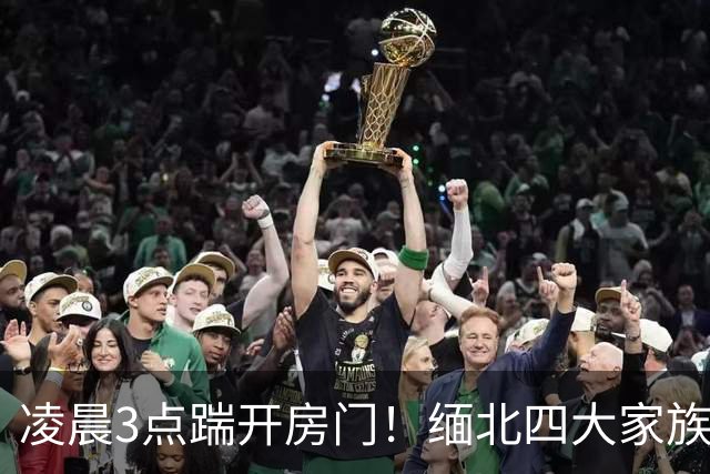 凌晨3点踹开房门！缅北四大家族以为来谈条件，10分钟后全部戴铐