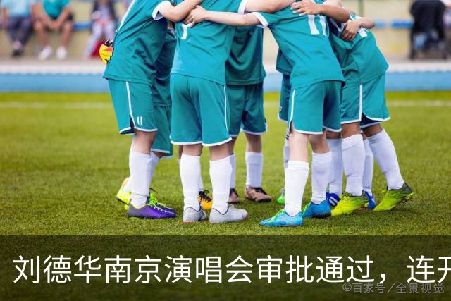 刘德华南京演唱会审批通过，连开六场！