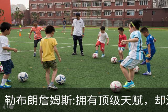 勒布朗詹姆斯:拥有顶级天赋，却活成了丧家之犬！