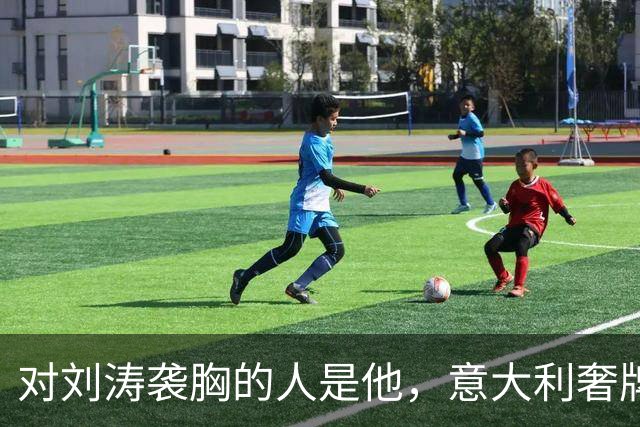 对刘涛袭胸的人是他，意大利奢牌老总身家上亿，难猜故意还是无意
