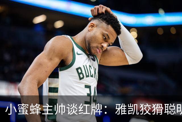 小蜜蜂主帅谈红牌：雅凯狡猾聪明，他没走向球而是走向亚尔莫柳克