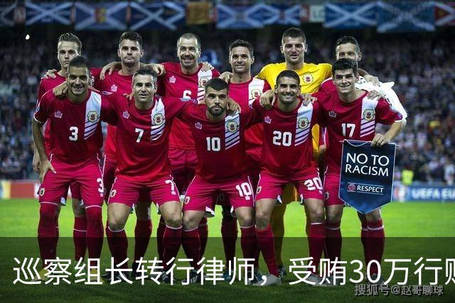 巡察组长转行律师，受贿30万行贿145万，被判4年半