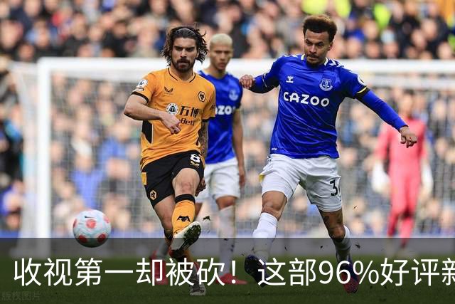 收视第一却被砍！这部96%好评新剧只活了一季