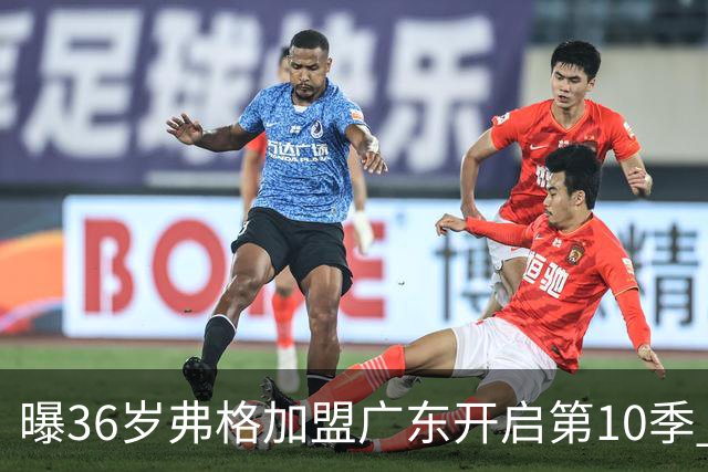 曝36岁弗格加盟广东开启第10季 曾4夺CBA总冠军