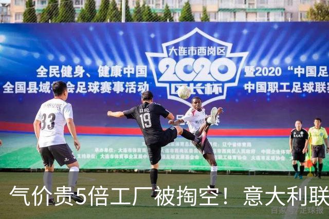 气价贵5倍工厂被掏空！意大利联手多国发难：向冯德莱恩正式夺权