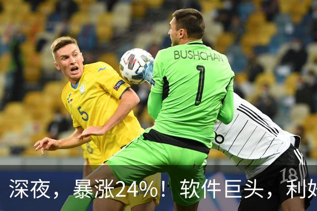 深夜，暴涨24%！软件巨头，利好引爆！