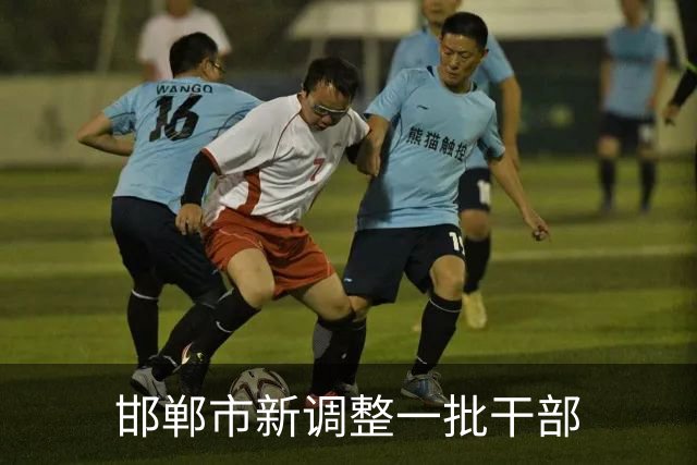 邯郸市新调整一批干部