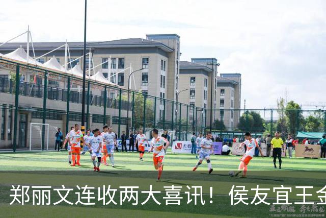 郑丽文连收两大喜讯！侯友宜王金平齐出手，谢家下场给蓝营上了一课