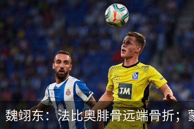 魏翊东：法比奥腓骨远端骨折；蒙哥马利合同不止一年