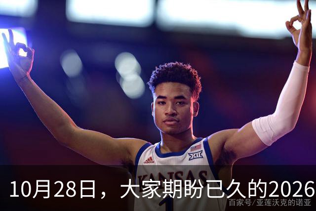 10月28日，大家期盼已久的2026退休养老金，究竟涨还是不涨？