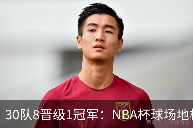 30队8晋级1冠军：NBA杯球场地板公布，猛龙主场竟是灰色