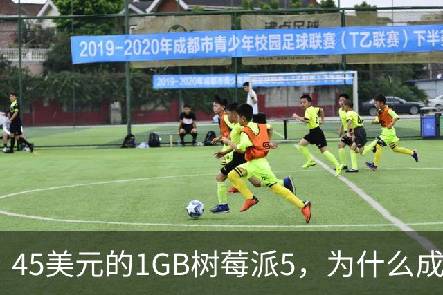 45美元的1GB树莓派5，为什么成了新手唯一该买的板子